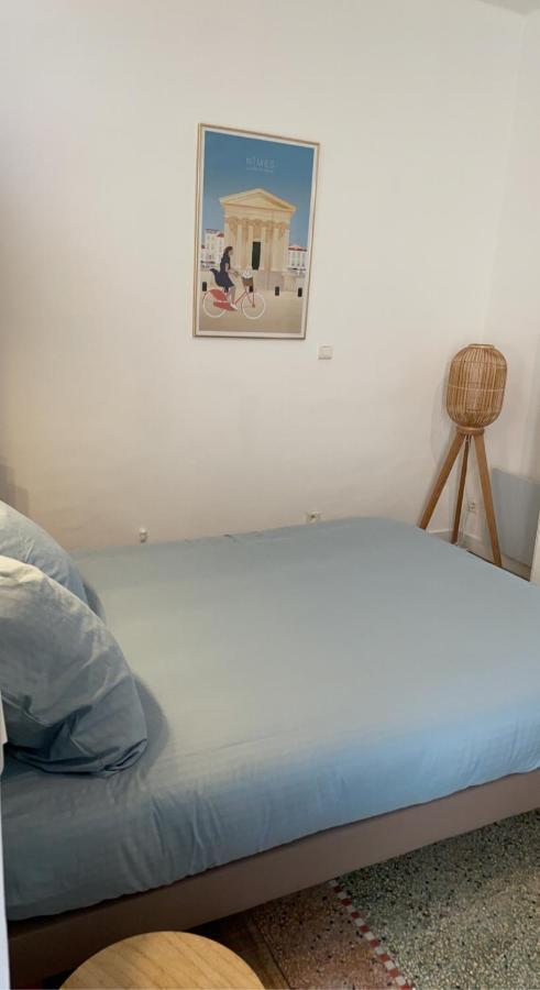 L'Ecrin Des Calquieres Daire Nîmes Dış mekan fotoğraf